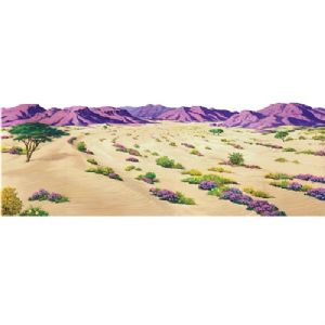 Desert Overlay