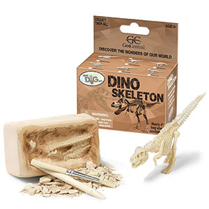 Dinosaur Skeleton Kit small | bibleclassworkshop.com