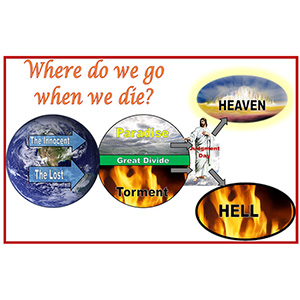 Where Do We Go When We Die Poster
