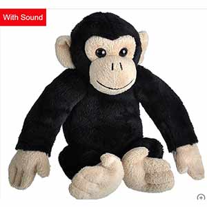 Wild Calls Chimpanzee