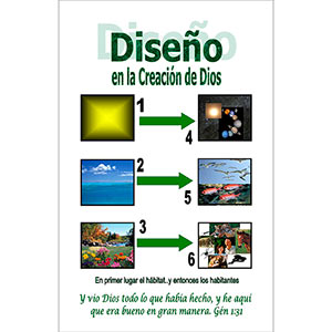 Diseño en la Creación de Dios Póster