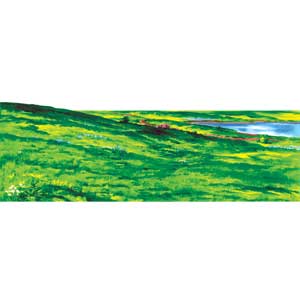 Hillside/Meadow Overlay