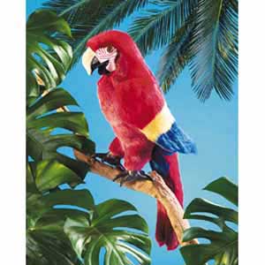 Scarlet Macaw Puppet