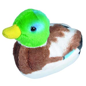 Audubon II Mallard Duck with sound