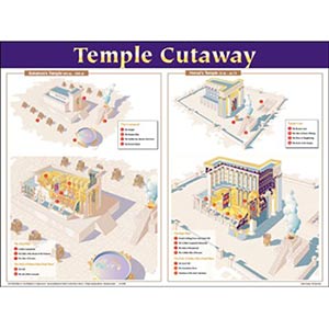 Temple Cutaway Wall Chart 