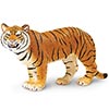 Bengal Tigress