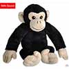 Wild Calls Chimpanzee