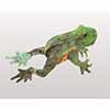 Jumping Frog Puppet