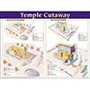 Temple Cutaway Wall Chart 