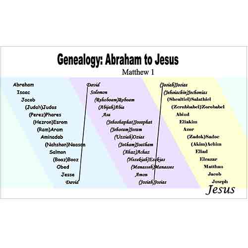 Genealogy of Christ Poster - Posters