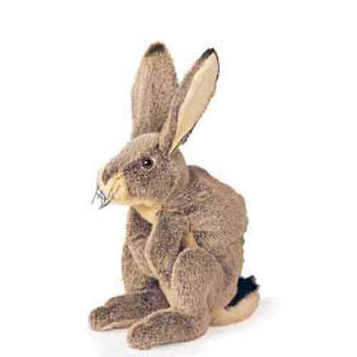 Jack Rabbit Puppet | bibleclassworkshop.com